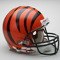 bengals.jpg (9436 bytes)