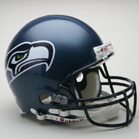 seahawks.jpg (9436 bytes)